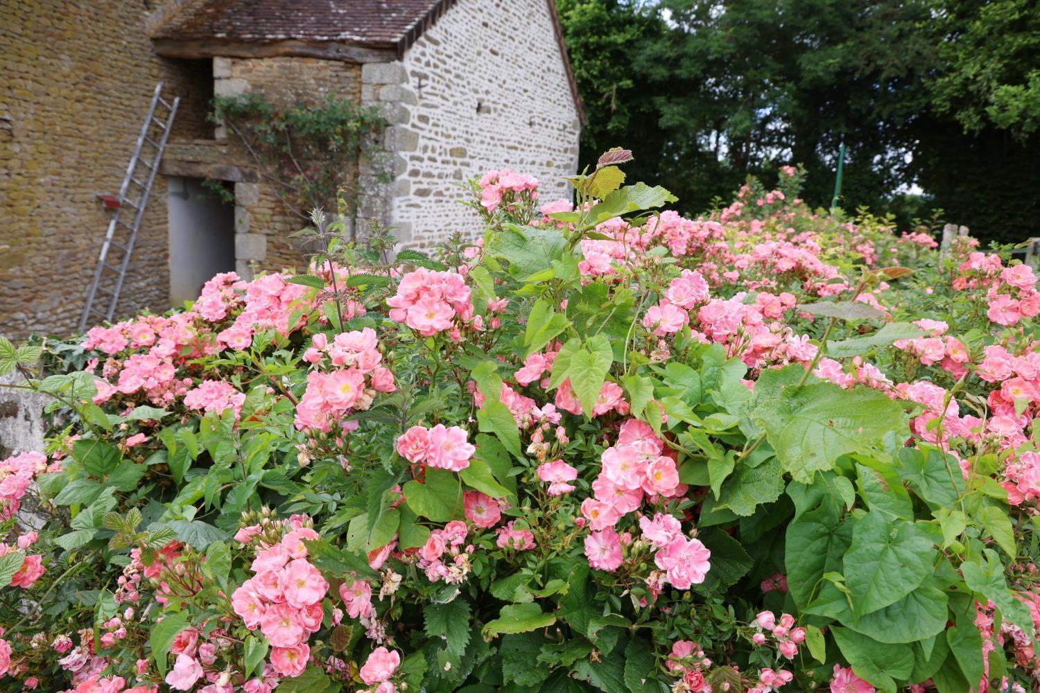 Chambre D'Hote Courtoux Saint-Denis-sur-Sarthon Екстер'єр фото